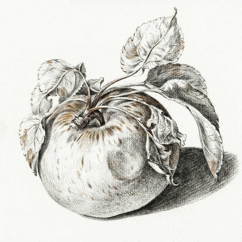 Apple de Jean Bernard