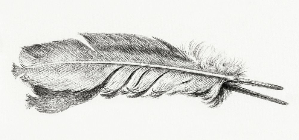 Pena de Jean Bernard