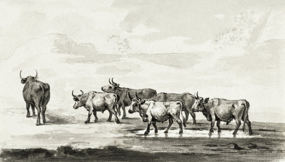Grupo dos Seis Touros de Jean Bernard
