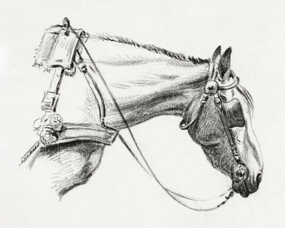 Cabeça de cavalo (1820) de Jean Bernard