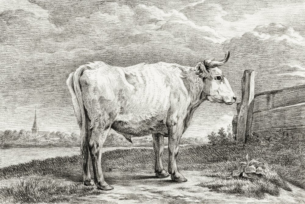 Standing Bull (1817) de Jean Bernard