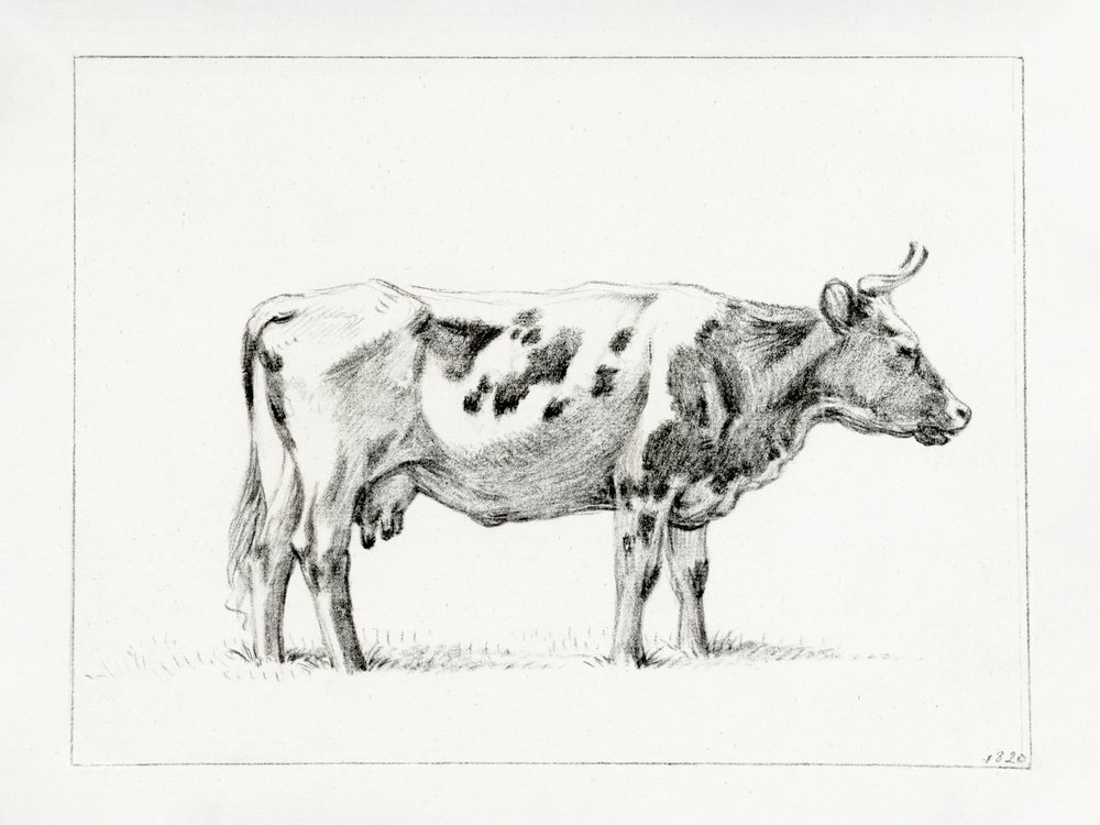Vaca em pé (1820) de Jean Bernard