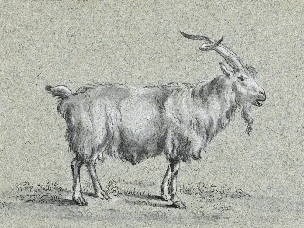 Cabra em pé, de Jean Bernard de Jean Bernard