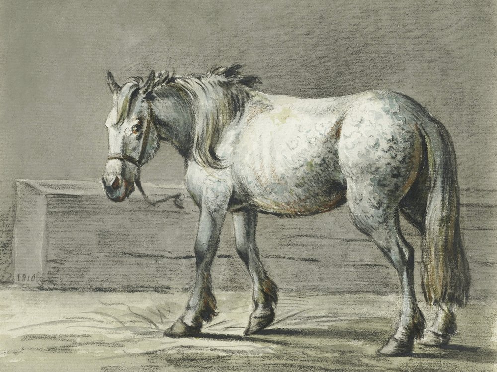 Cavalo em pé (1810–1816) Por Jean Bernard de Jean Bernard