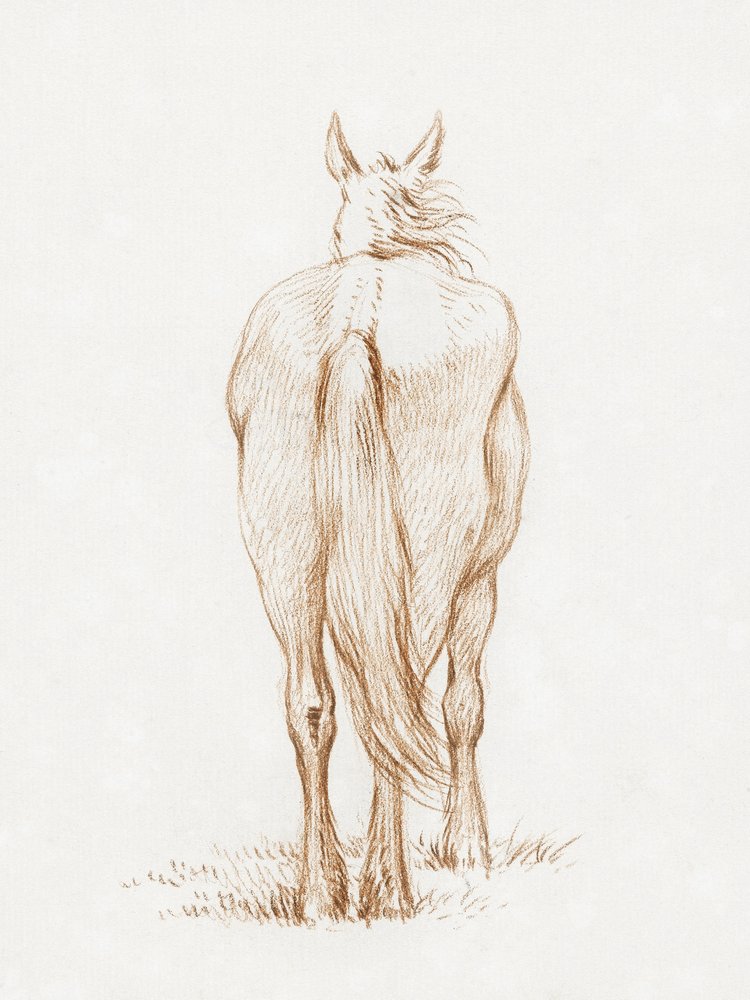 Cavalo em pé (1815), de Jean Bernard de Jean Bernard