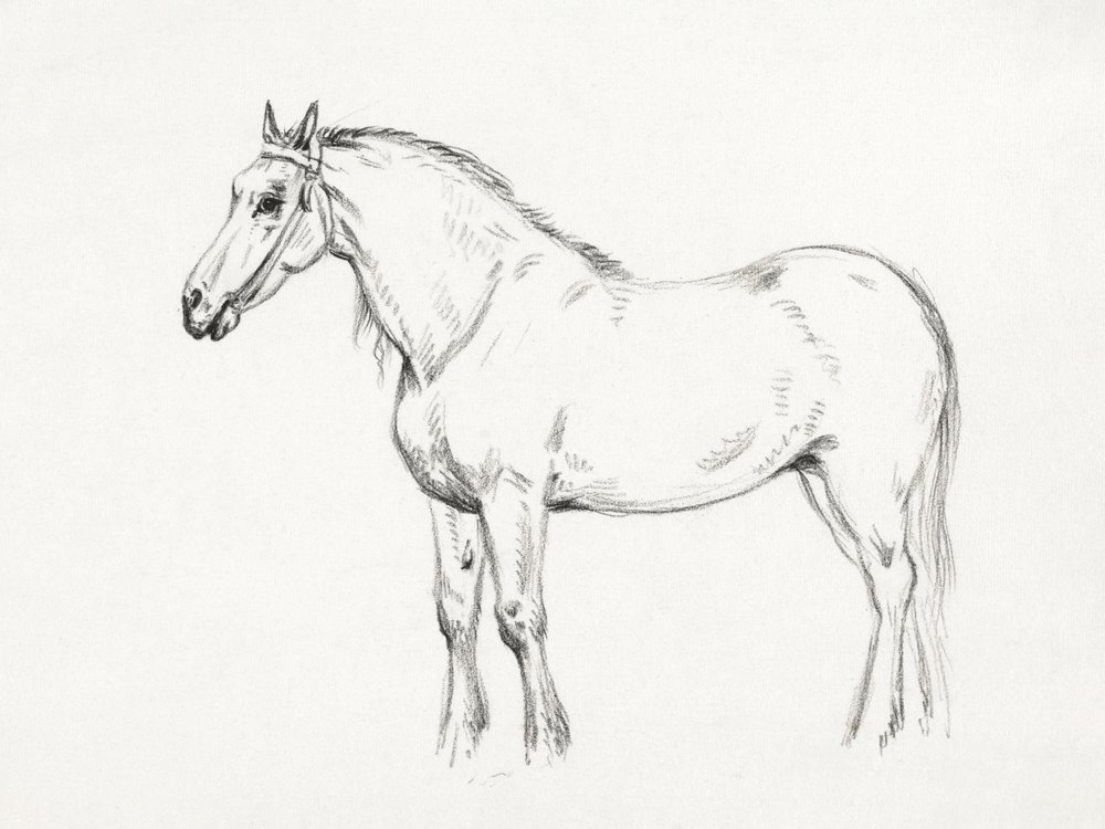 Cavalo em pé (1818) de Jean Bernard