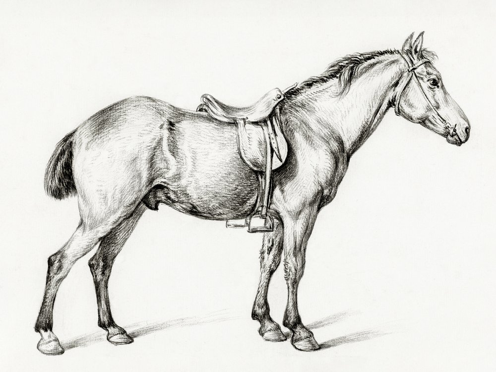 Cavalo em pé, de Jean Bernard (1775-1883) de Jean Bernard