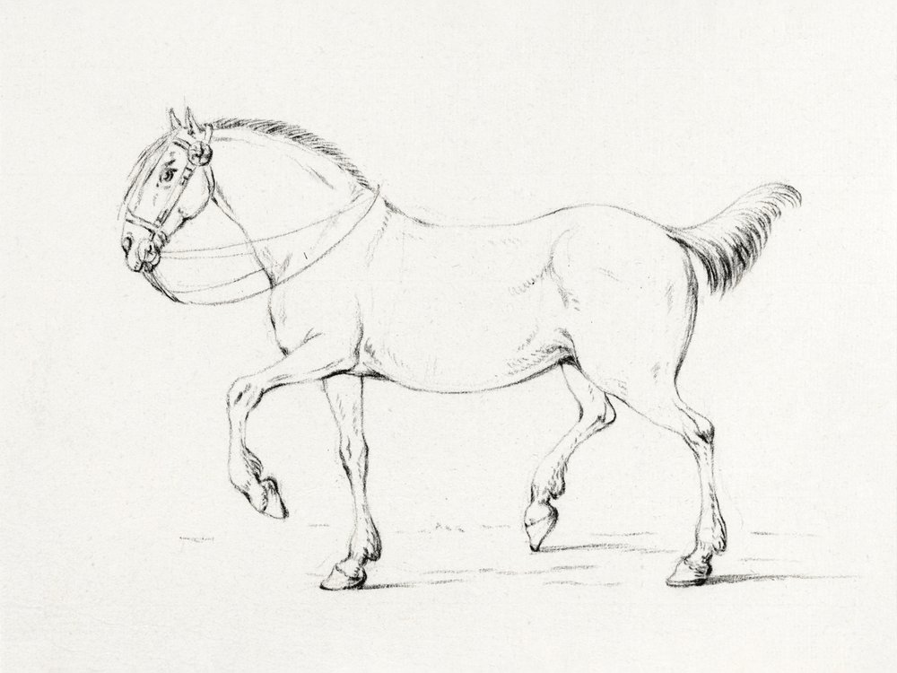 Stepping Horse (1775–1833) de Jean Bernard