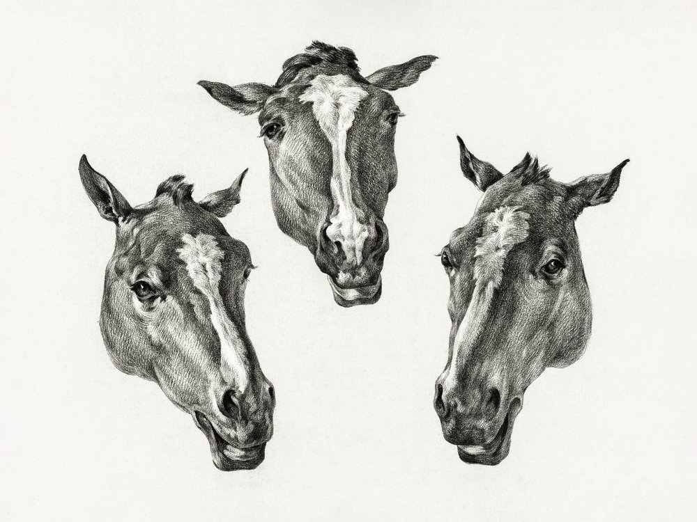 Três Cabeças de Cavalo (1812) de Jean Bernard