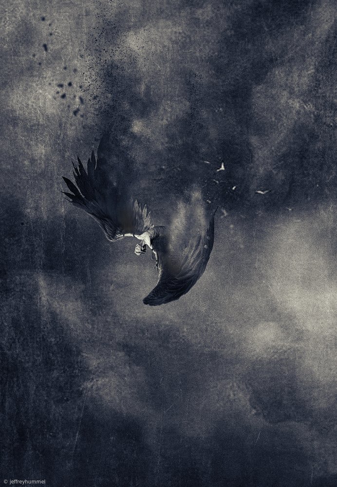  de Jeffrey Hummel