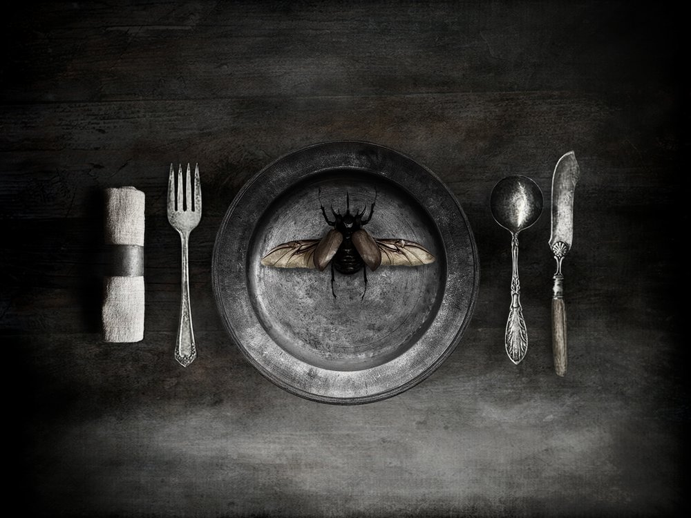  de Jeffrey Hummel