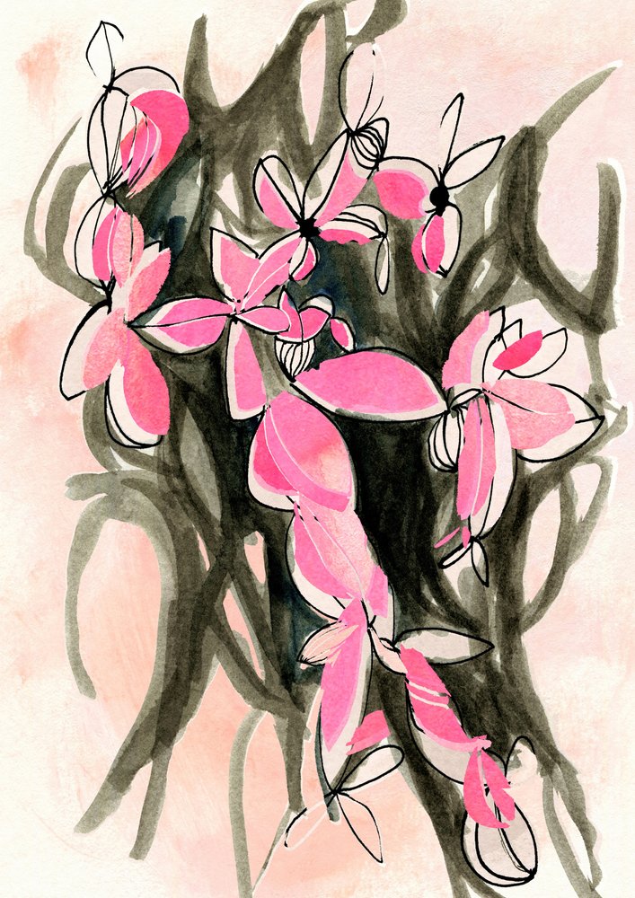 Flores abstratas cor-de-rosa de Jenja Braun