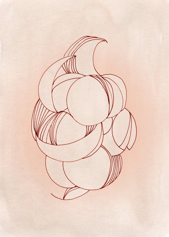 Flores abstratas suaves de Jenja Braun