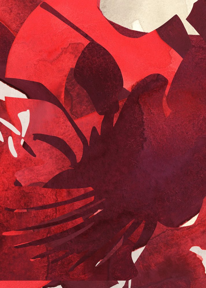 Pétalas de um vermelho vivo de Jenja Braun