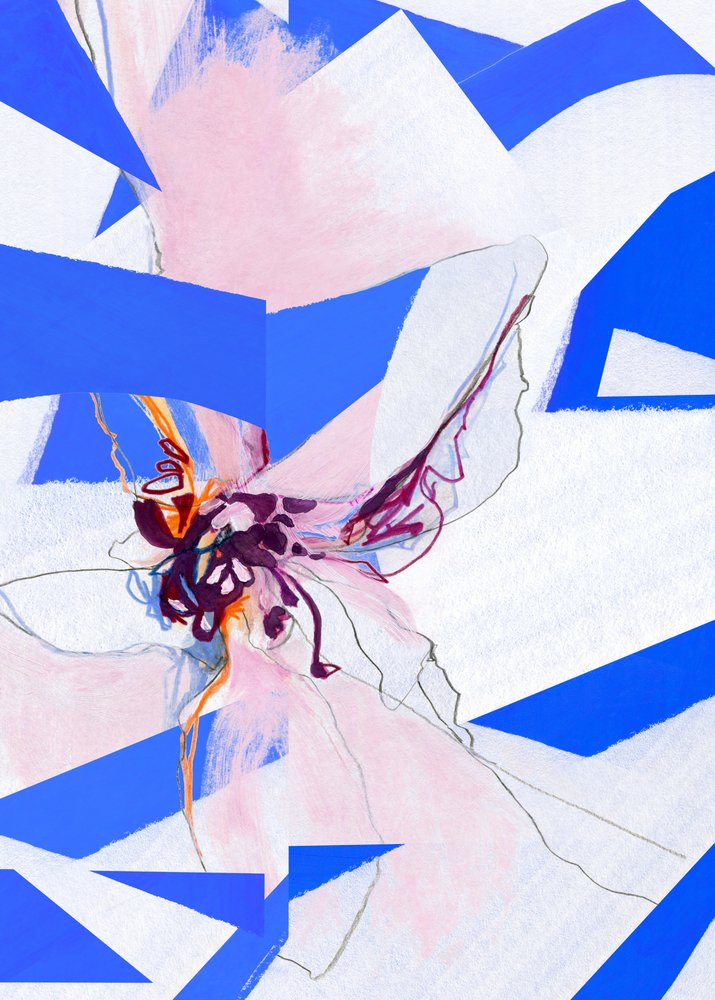 Geometria de Flores Vivas de Jenja Braun