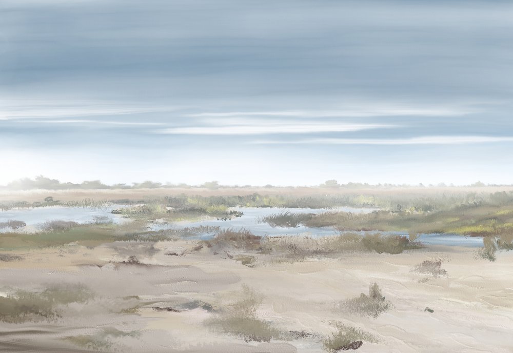 Paisagem de zonas húmidas enevoadas de Jenna Alheit