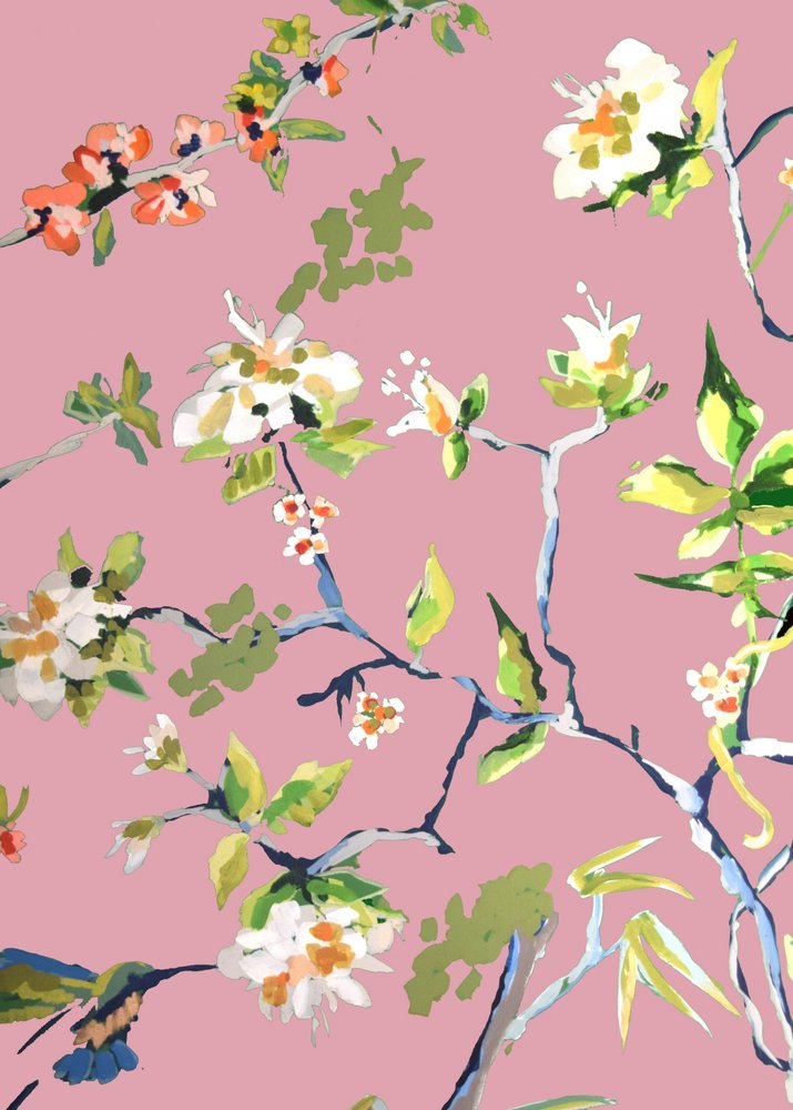 Paredes da sala de jantar rosa 1.png de Jenny Westenhofer