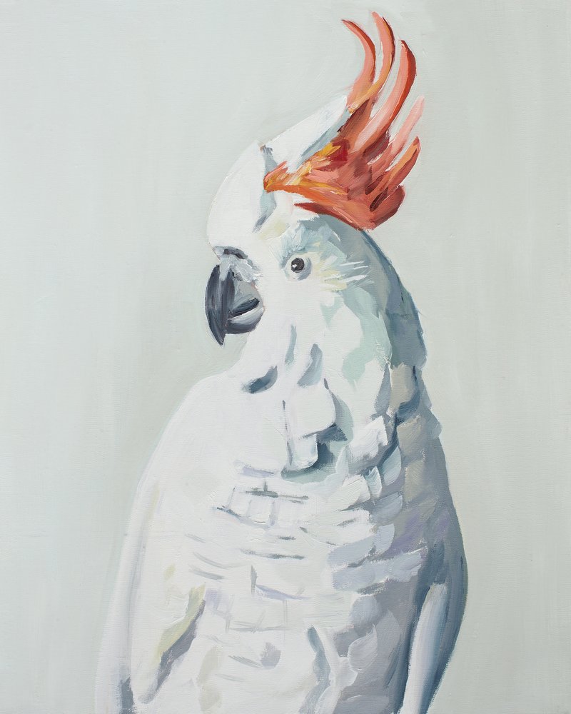 Cacatuá Branca de Jenny Westenhofer