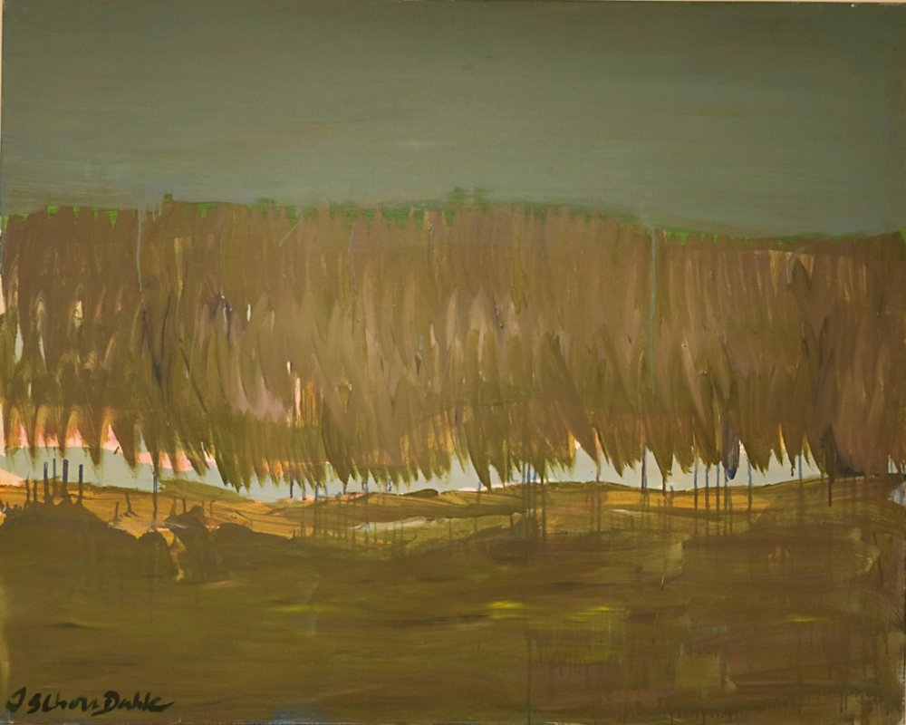 Vasta paisagem pantanosa de Joackim Schou Dahle