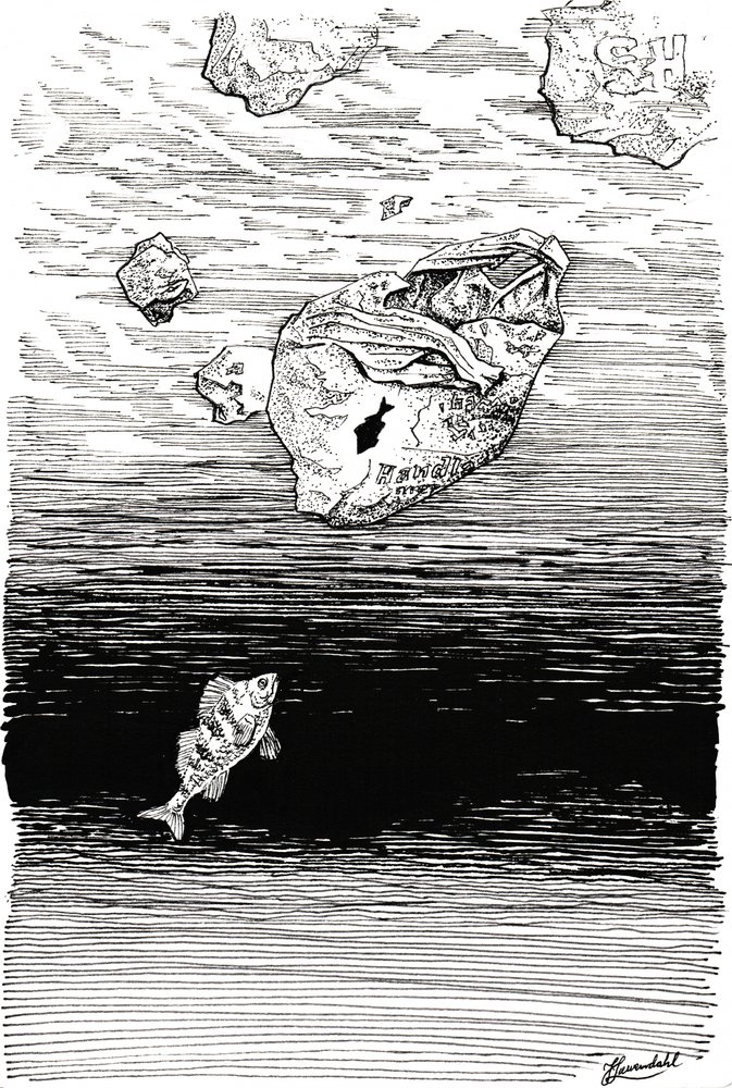 Peixes debaixo do plástico de Johan Liewendahl