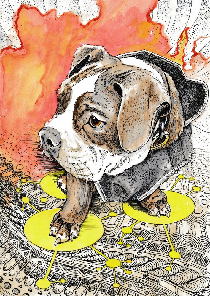 A Viagem Ardente do Cachorrinho de Johan Liewendahl