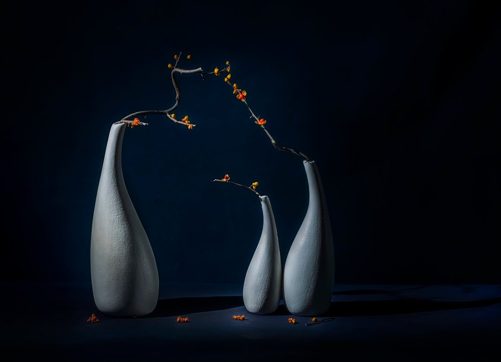 Vasos elegantes com flores de John-Mei Zhong