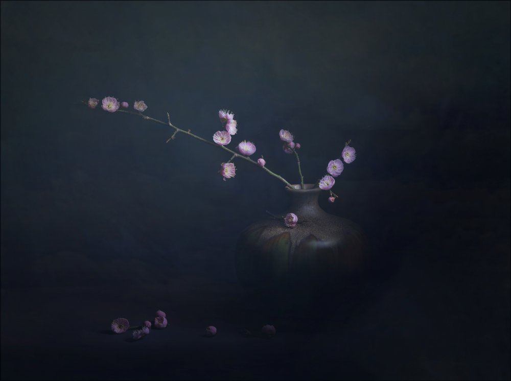 Natureza morta com flores de ameixa de John-Mei Zhong