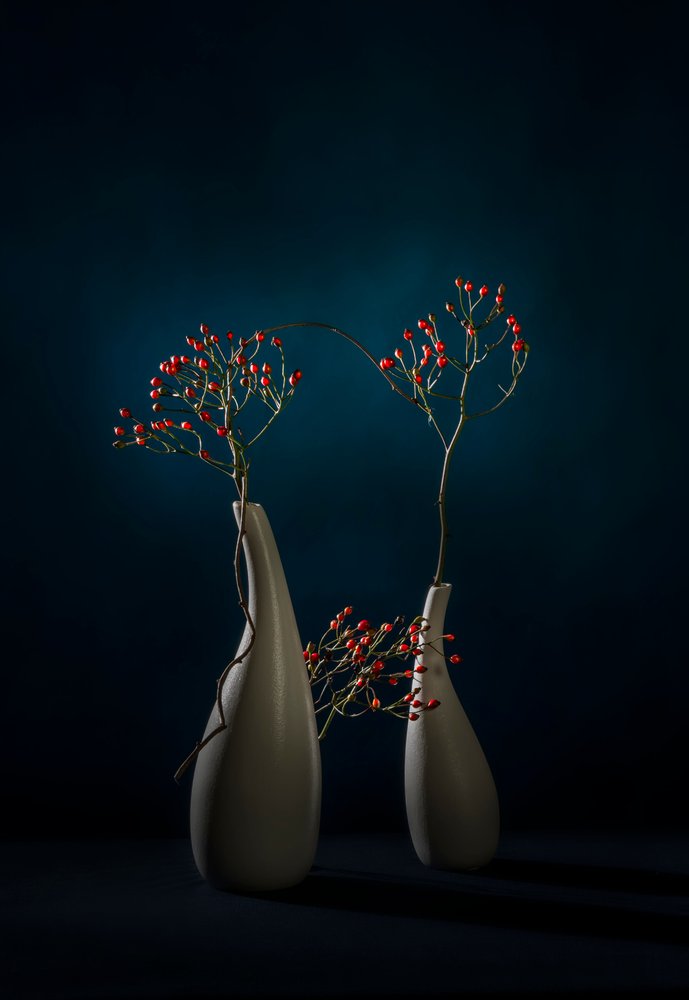 Vasos modernos com bagas vermelhas de John-Mei Zhong