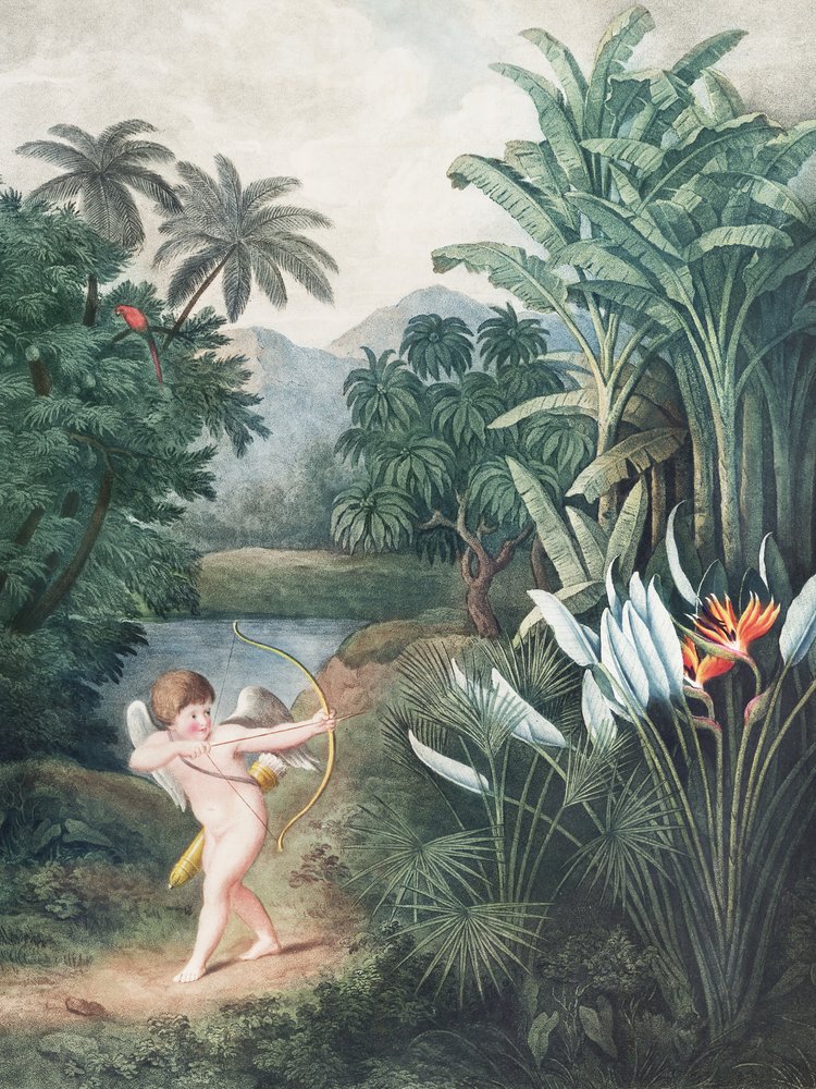 «Cupido a inspirar as plantas com amor», do «Templo de Flora» (1807), de Robert John Thornton de John Thornton