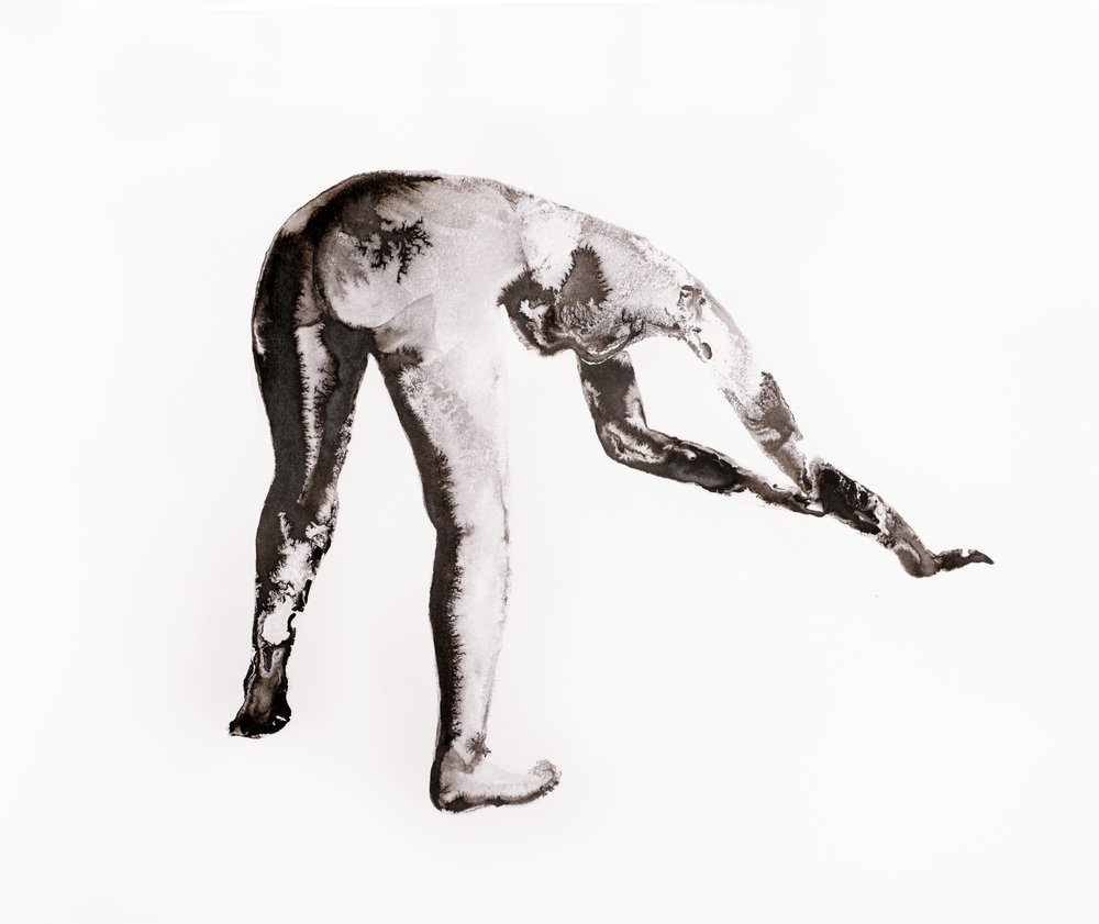 Estudo a tinta n.º 4 (curvado) de Joshua Hoskins