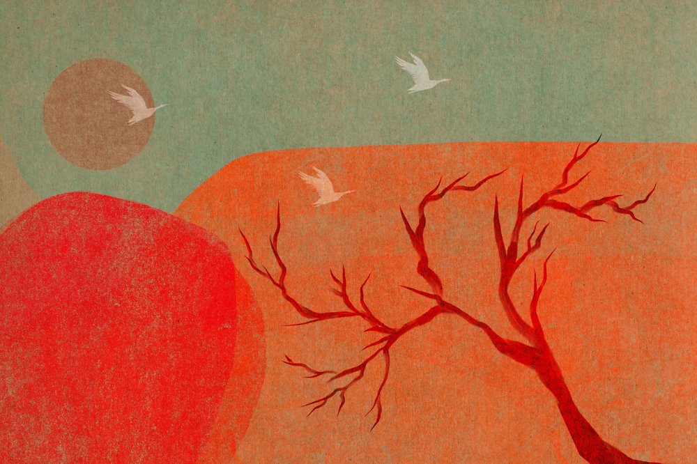 Aves ao pôr do sol no deserto de Josie George