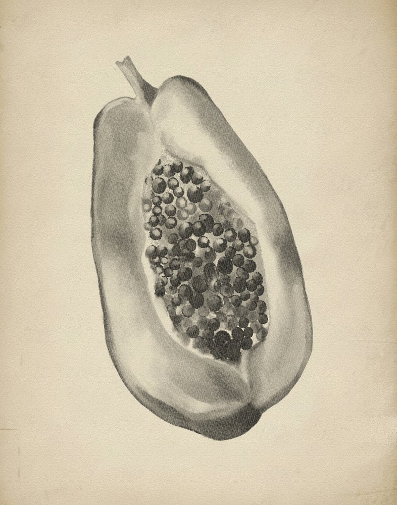 Meia papaia tropical de Josie George