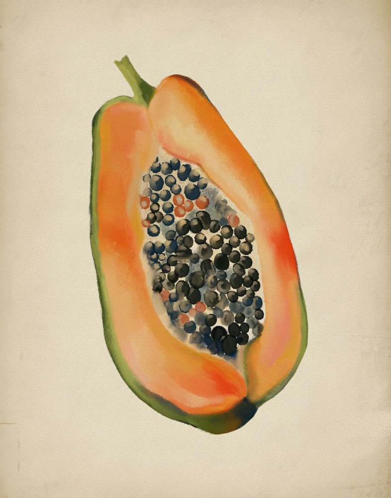 Meia papaya vibrante de Josie George