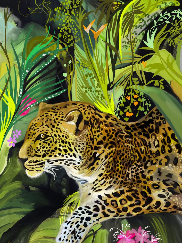 Leopardo da selva selvagem de Josie George