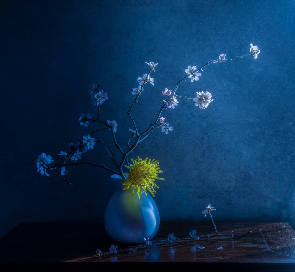 Flores azuis e vaso de Judy Tseng
