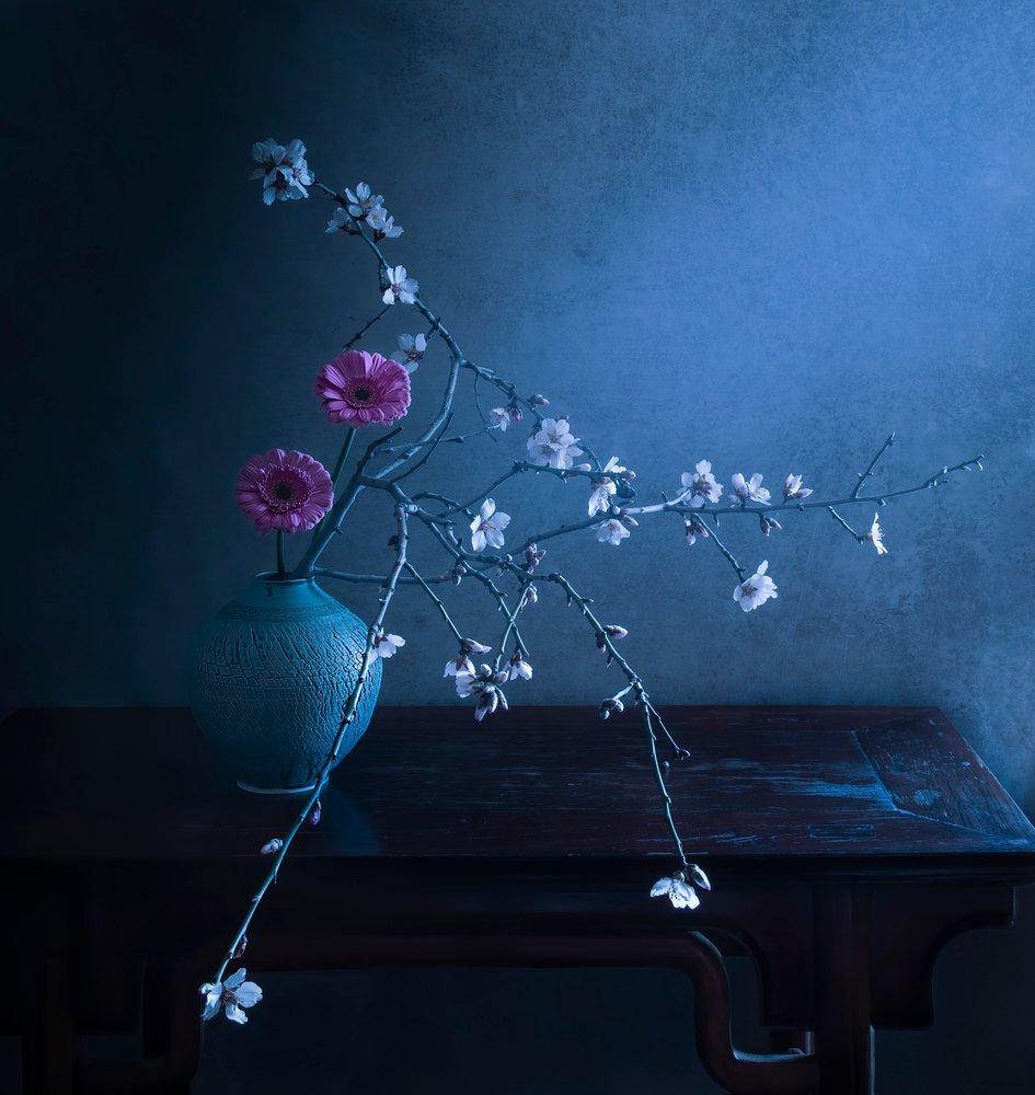 Elegância Floral Escura de Judy Tseng