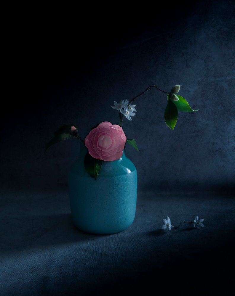 Flor Rosa Melancólica de Judy Tseng