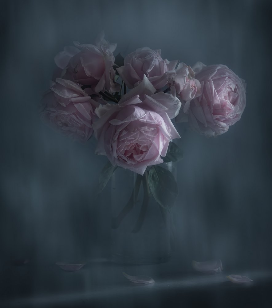 Rosas Rosa Melancólicas de Judy Tseng