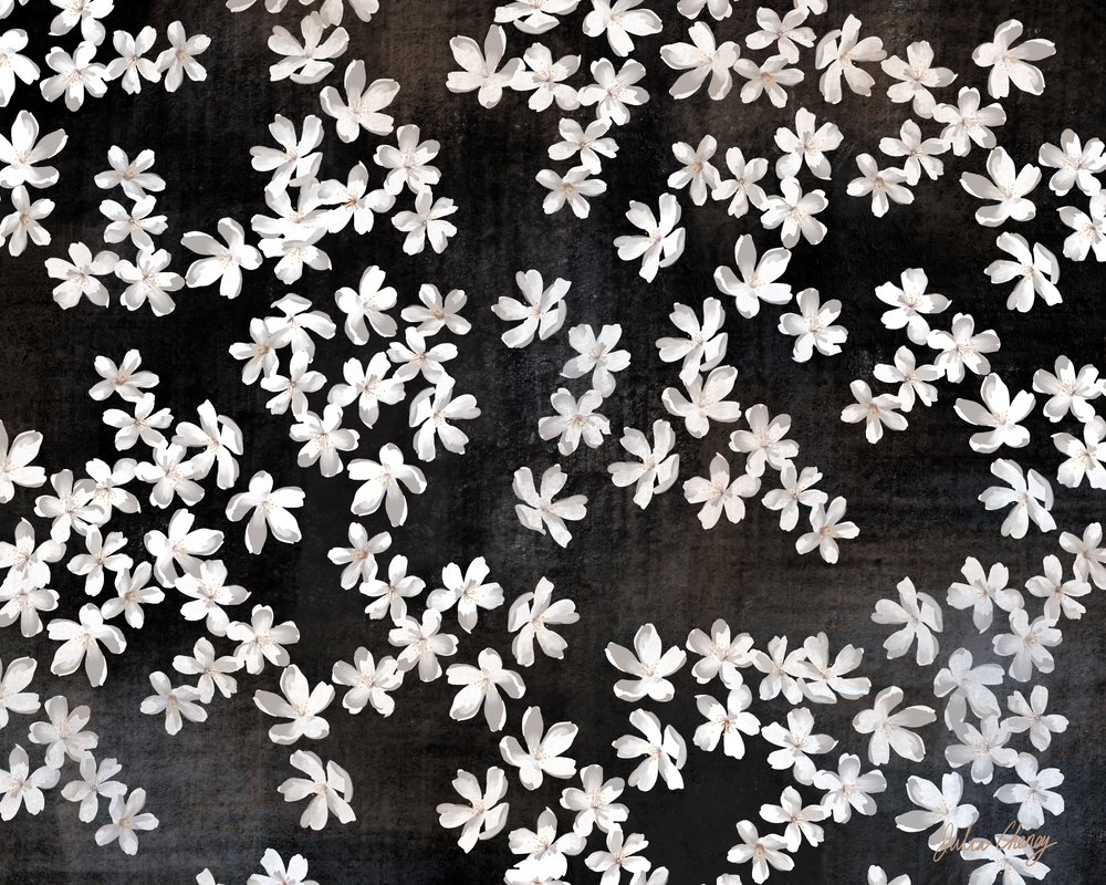 Pétalas brancas delicadas de Julia Cheney