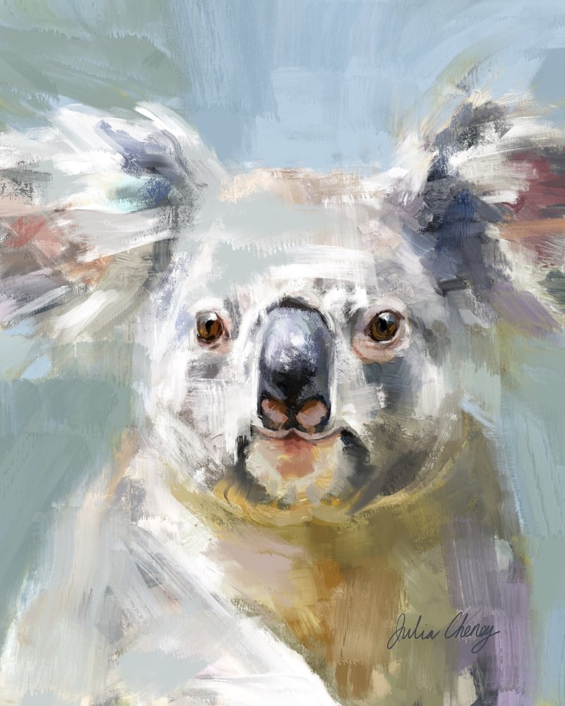 O Olhar Suave do Koala de Julia Cheney