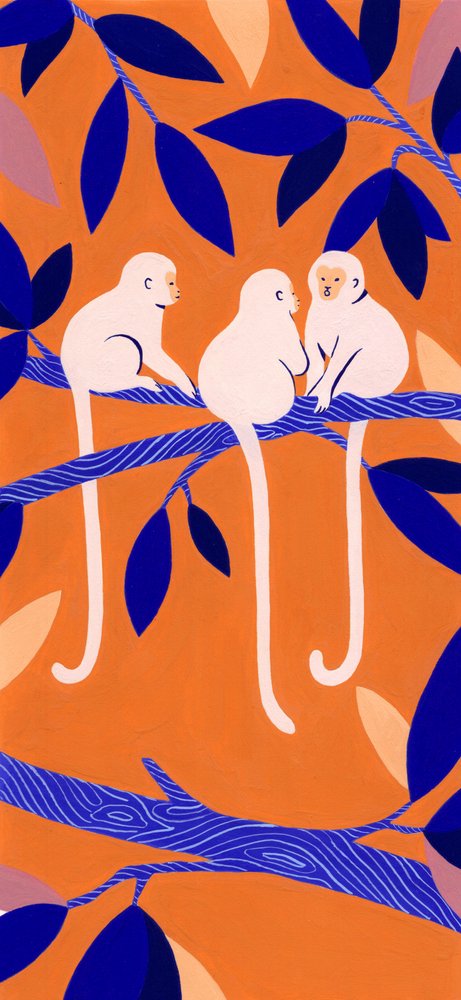 Macacos-de-árvore coloridos de Julie Lesouef