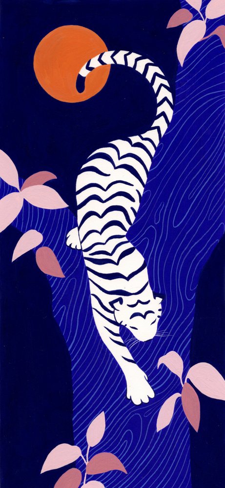 Noite na Selva do Tigre Branco de Julie Lesouef