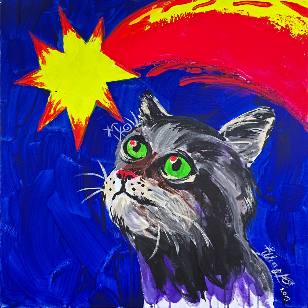 Gato e Cometa de Kanat Ibragimov