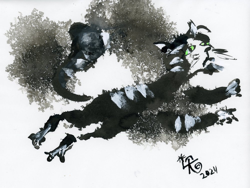 Gato Saltitante de Tinta de Kanat Ibragimov