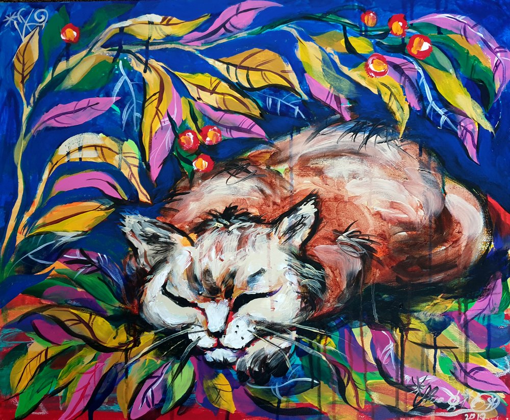 Gato a dormir tranquilamente de Kanat Ibragimov