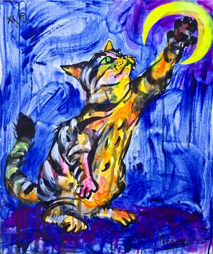 Gatinho Brincalhão Lua de Kanat Ibragimov