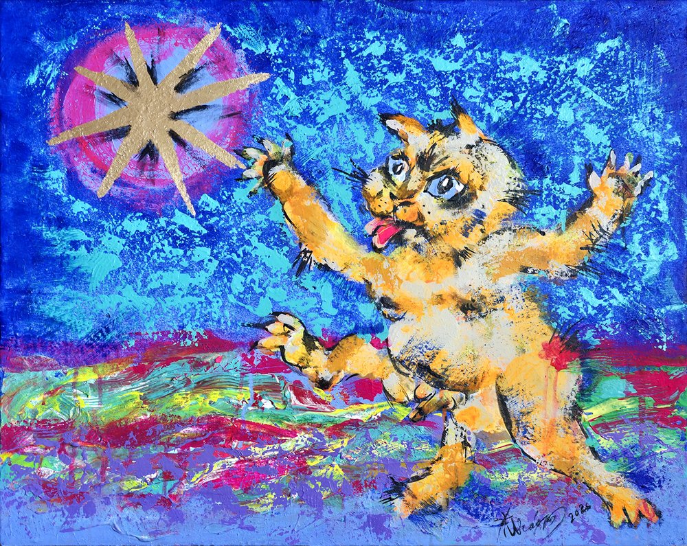 Gato Estrelado e Caprichoso de Kanat Ibragimov