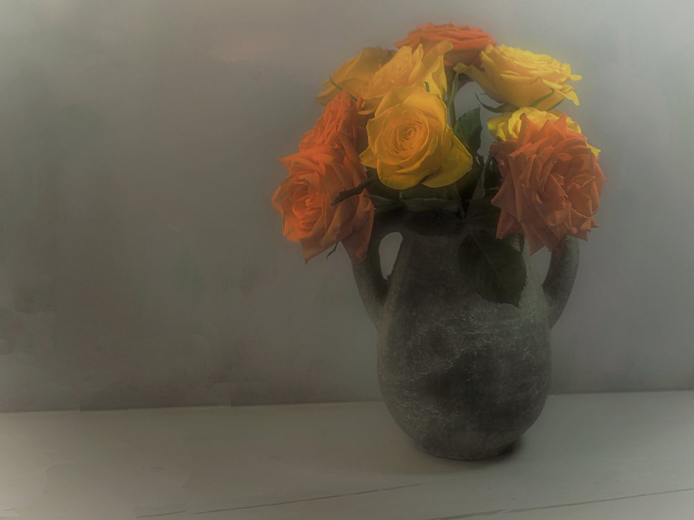 Rosas amarelo-alaranjadas suaves de Karen Smalley