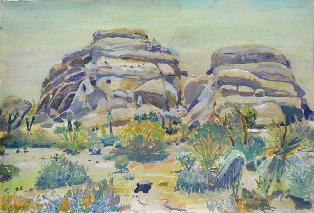 Paisagem de Joshua Tree de Karin Bos