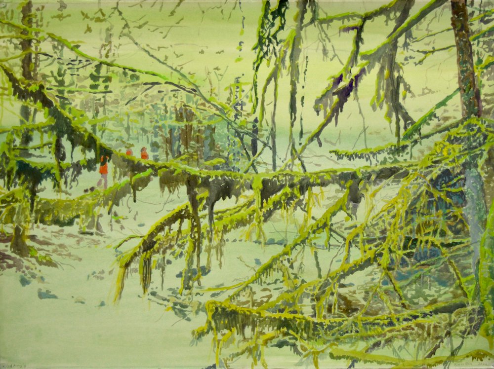 Bosque Enevoado e Musgoso de Karin Bos